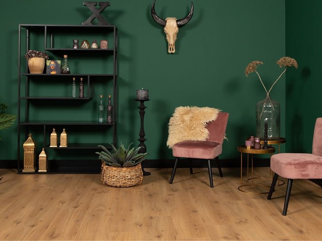 Roomdesigner via Douwes Dekker