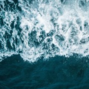 Echo the sea